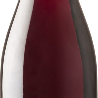 Pinot Noir 2022, Leduc