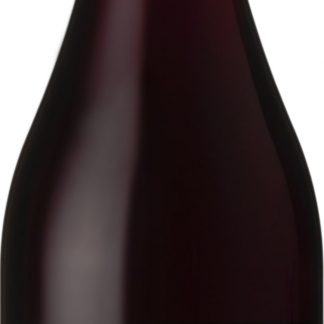 Pinot Noir Reserva 2022, Viña Leyda
